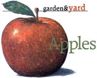 Best Tasting and Easiest to Grow Apples Image